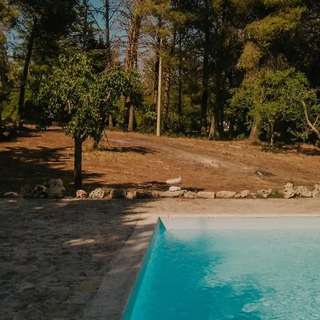 ベッド・アンド・ブレックファスト Trulli Del Carmine