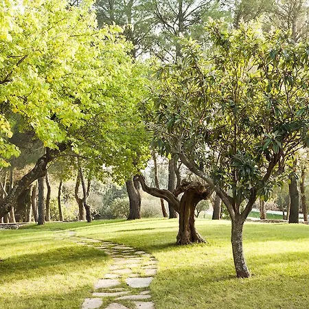 Trulli Del Carmine マルティナ・フランカ