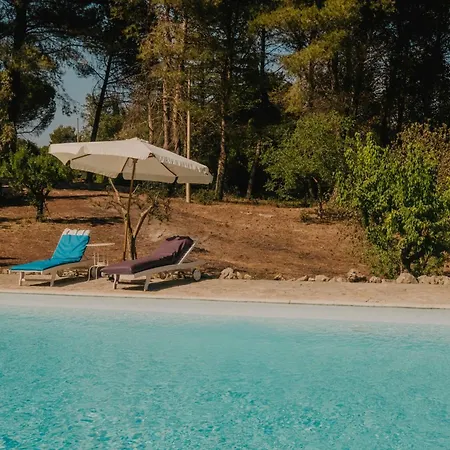 Trulli Del Carmine B&B