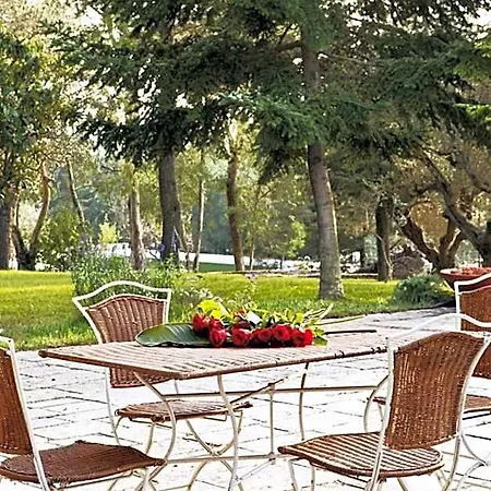 Bed & Breakfast Trulli Del Carmine Martina Franca